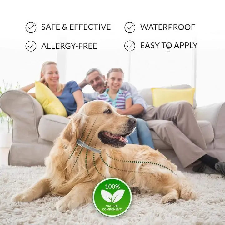 Rynx | Pro Guard Flea and Tick Pet Collar