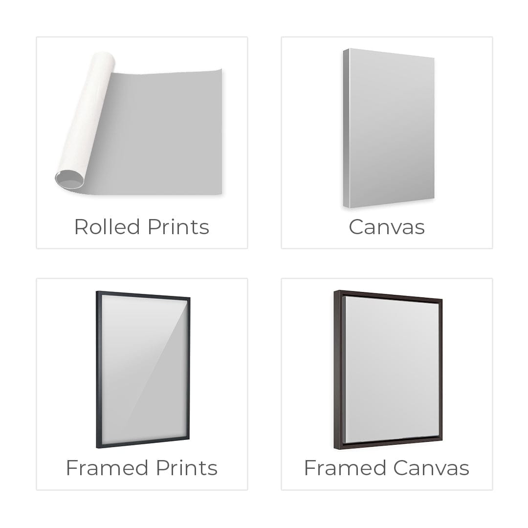 Rynx | Harmony Spheres Canvas