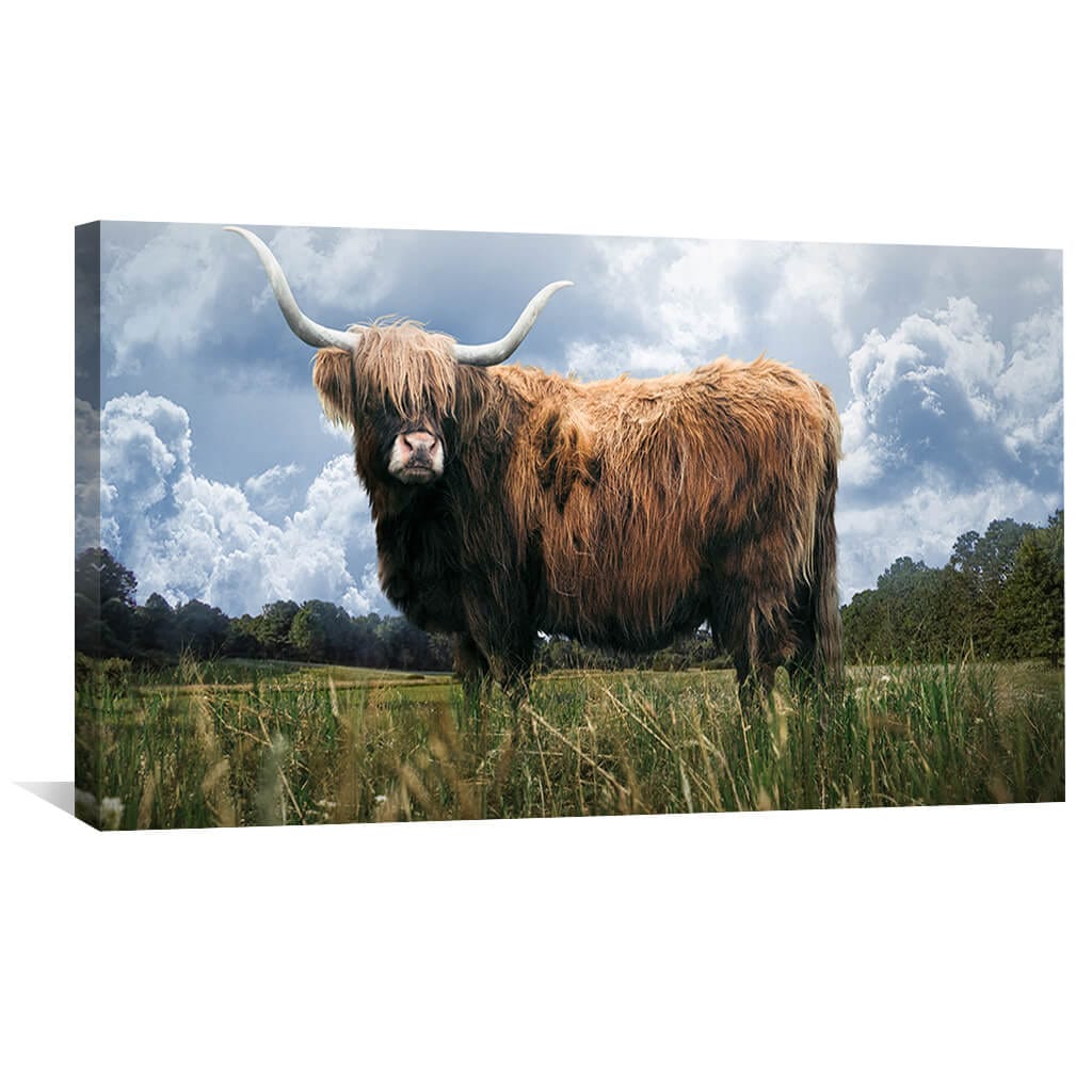 Rynx | Highland Field Canvas