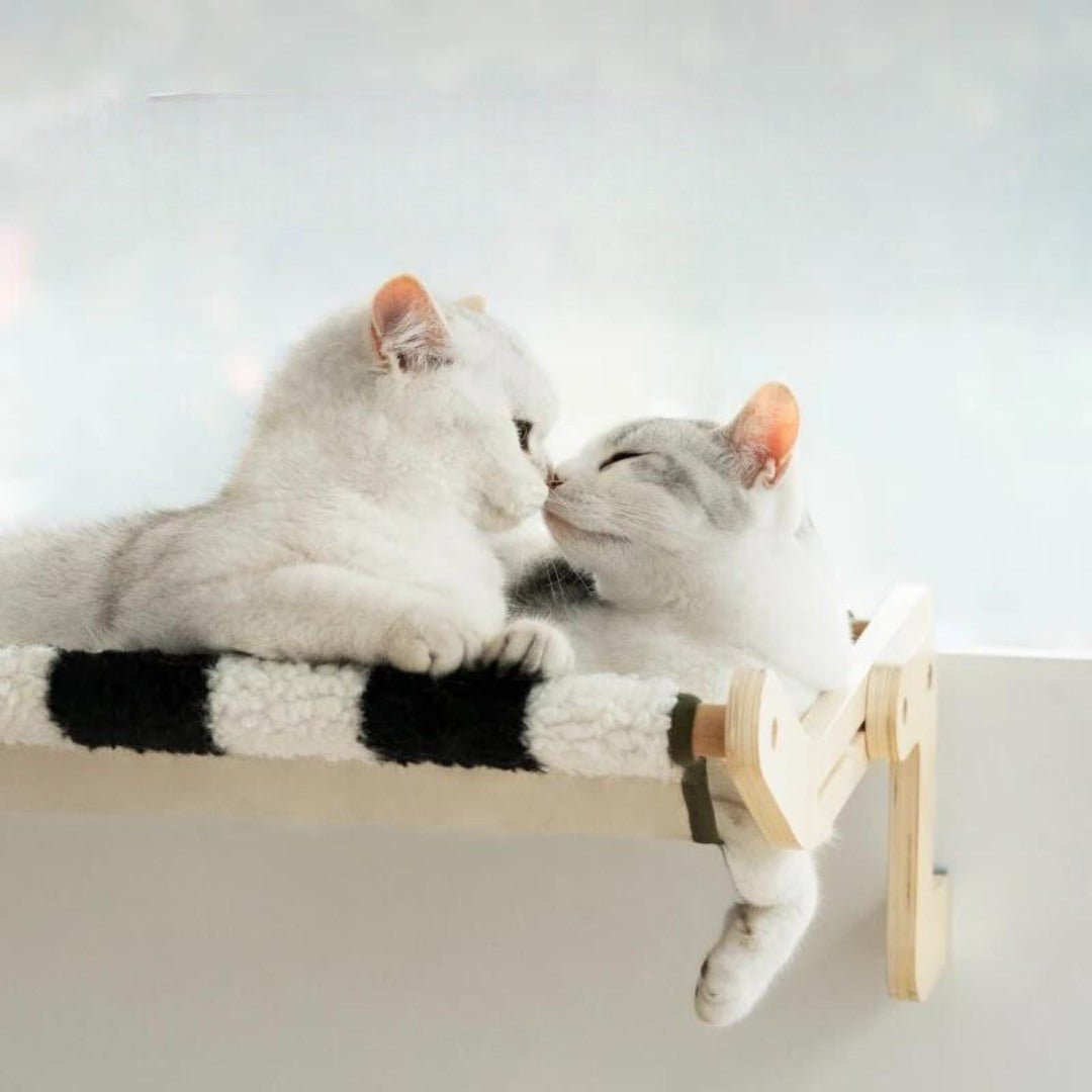 Rynx | Holiday Style Solid Three Cat Hammock Bed in Plush Material