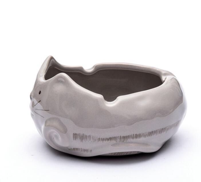 Rynx | Home Plate Cat Design