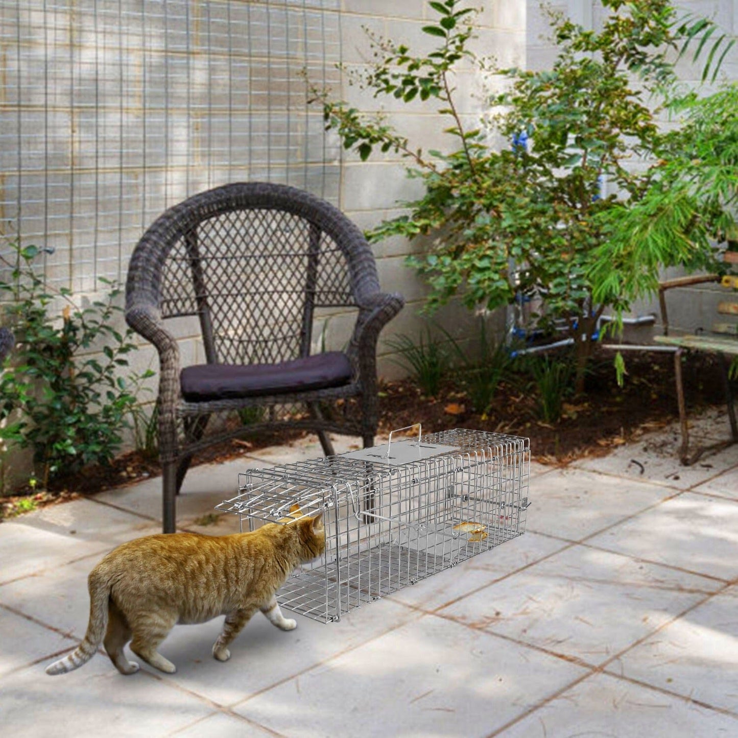 Rynx | Human Liv Animal Cage Foldable Galvanized Wire