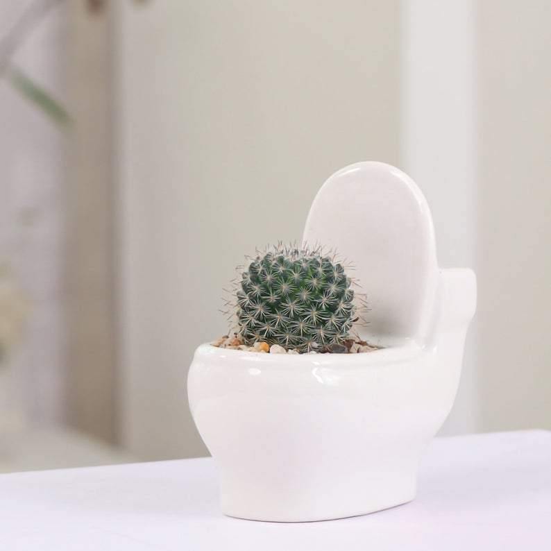 Rynx | ClayElegance Ceramic Succulent Holder | Handmade | Decorative Plant Holder for Bathroom