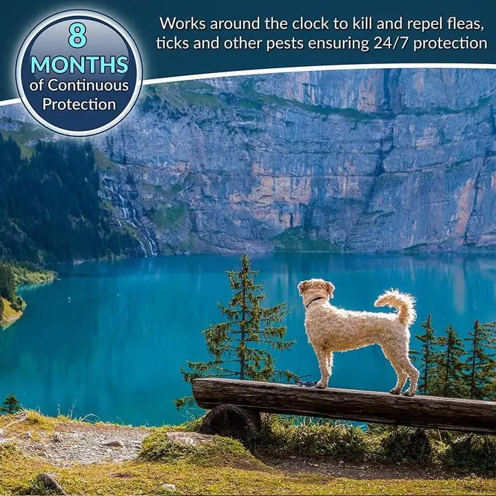 Rynx | Pro Guard Flea and Tick Pet Collar