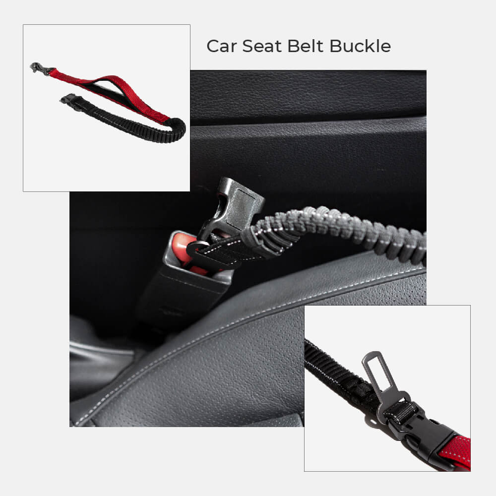 RYNX | Hands Free Dog Leash With Safety Seat Belt