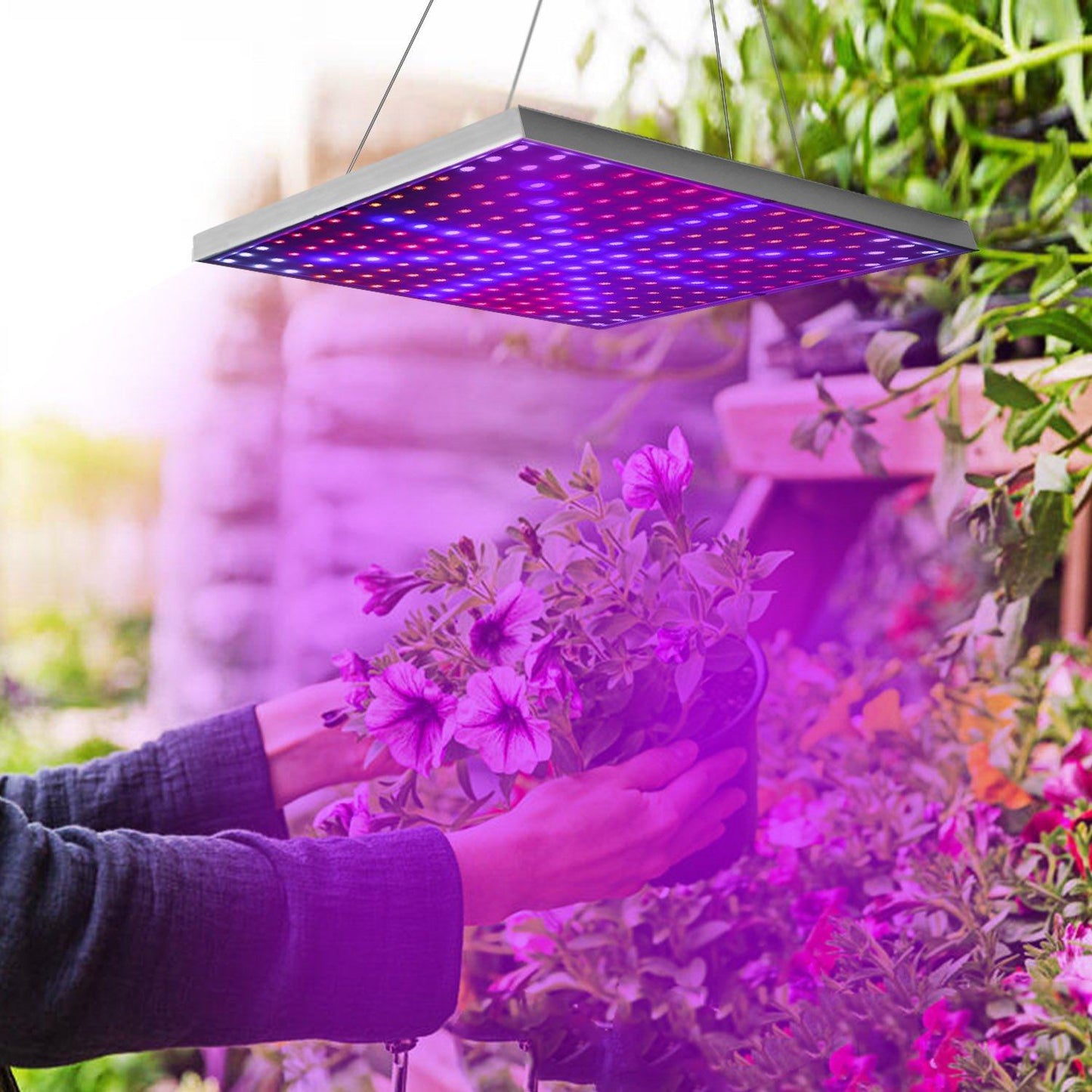 Rynx | LED Grow Light Full Spectrum Hanging