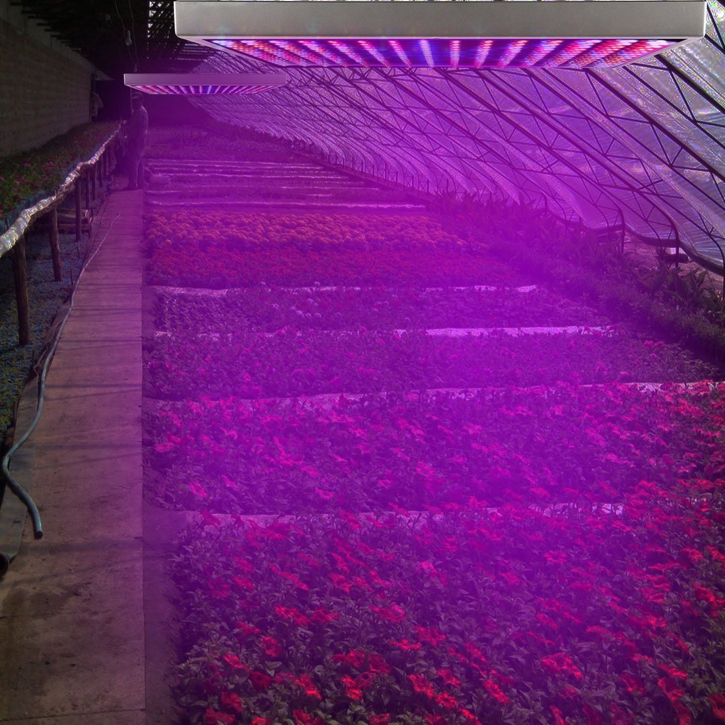 Rynx | LED Grow Light Full Spectrum Hanging
