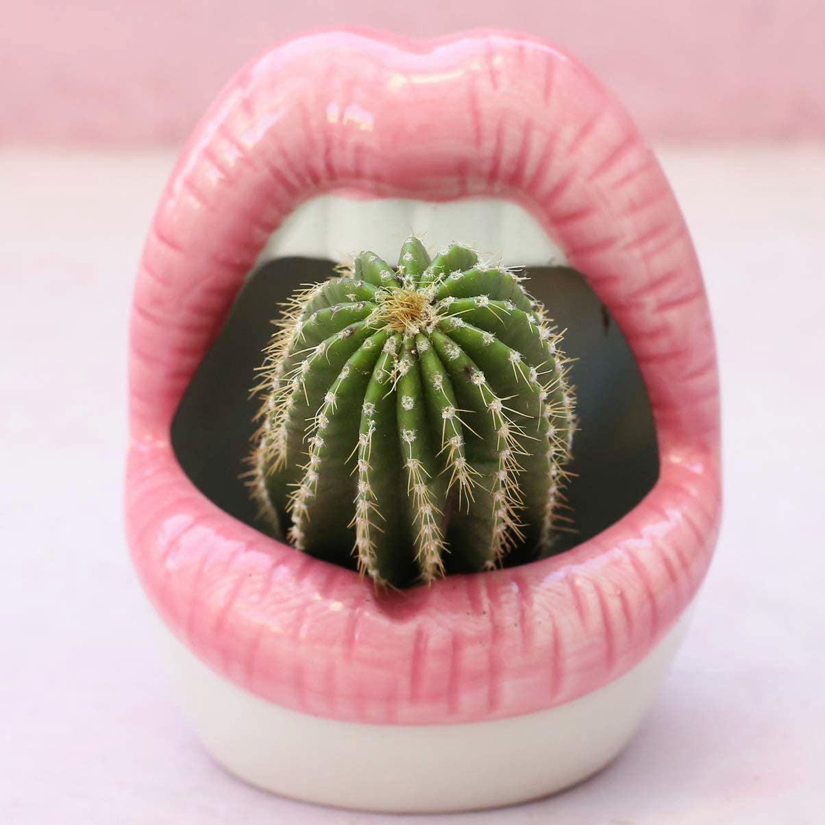 Rynx Creative Lips Flower Pot