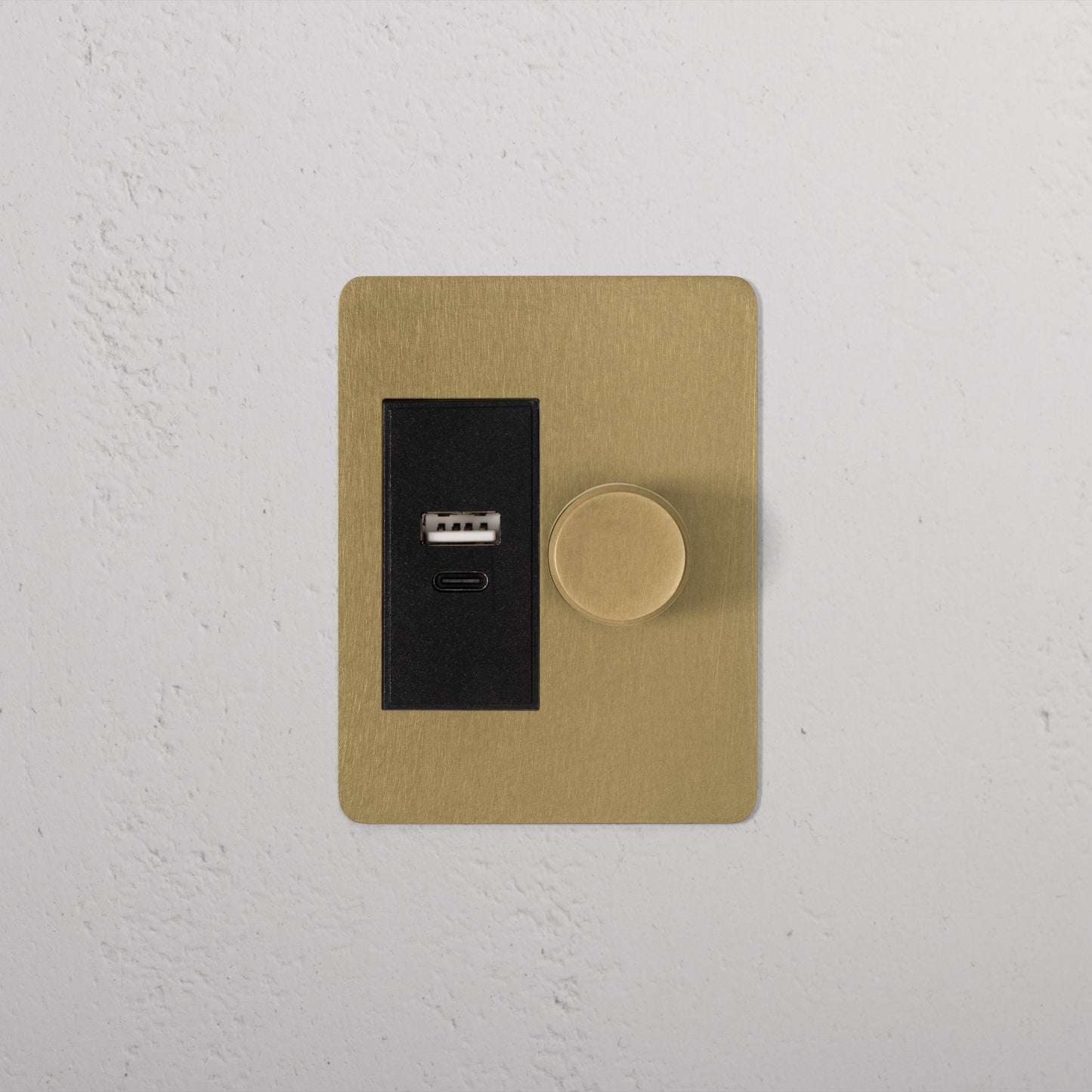 Rynx | 1G Two Way Dimmer + USB A+C Slimline Switch - Antique Brass Black