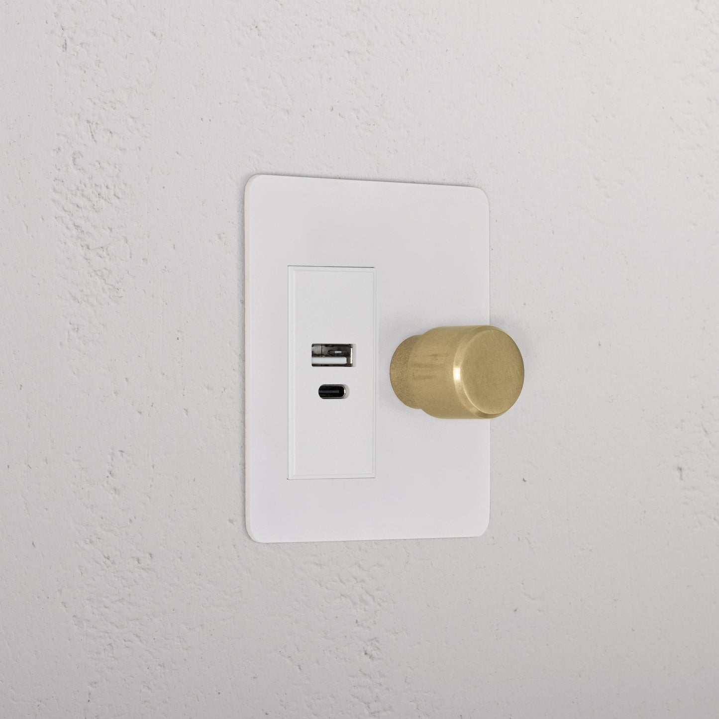 Rynx | 1G Two Way Dimmer + USB A+C Slimline Switch - Malbar Antique Brass White