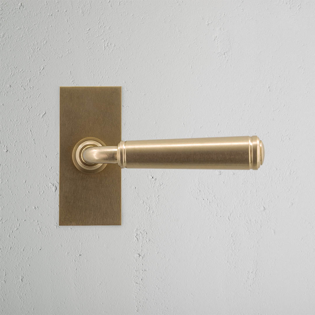 Rynx | Digby Short Plate Fixed Door Handle - Antique Brass