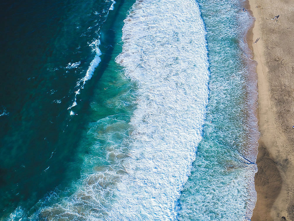 Rynx | Mini Surfer