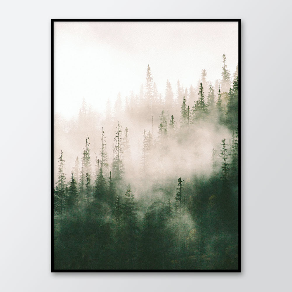 Rynx | Morning Fog