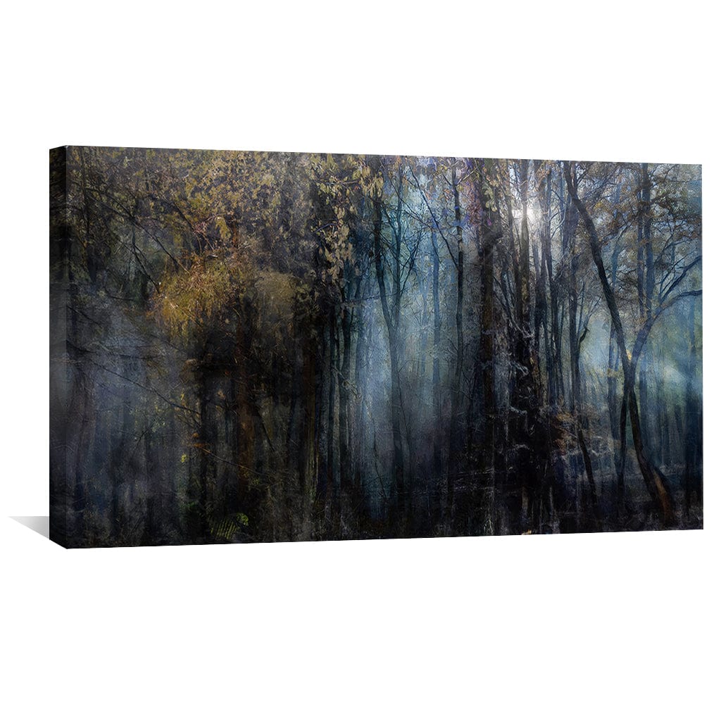 Rynx | Mysterious Trees Canvas