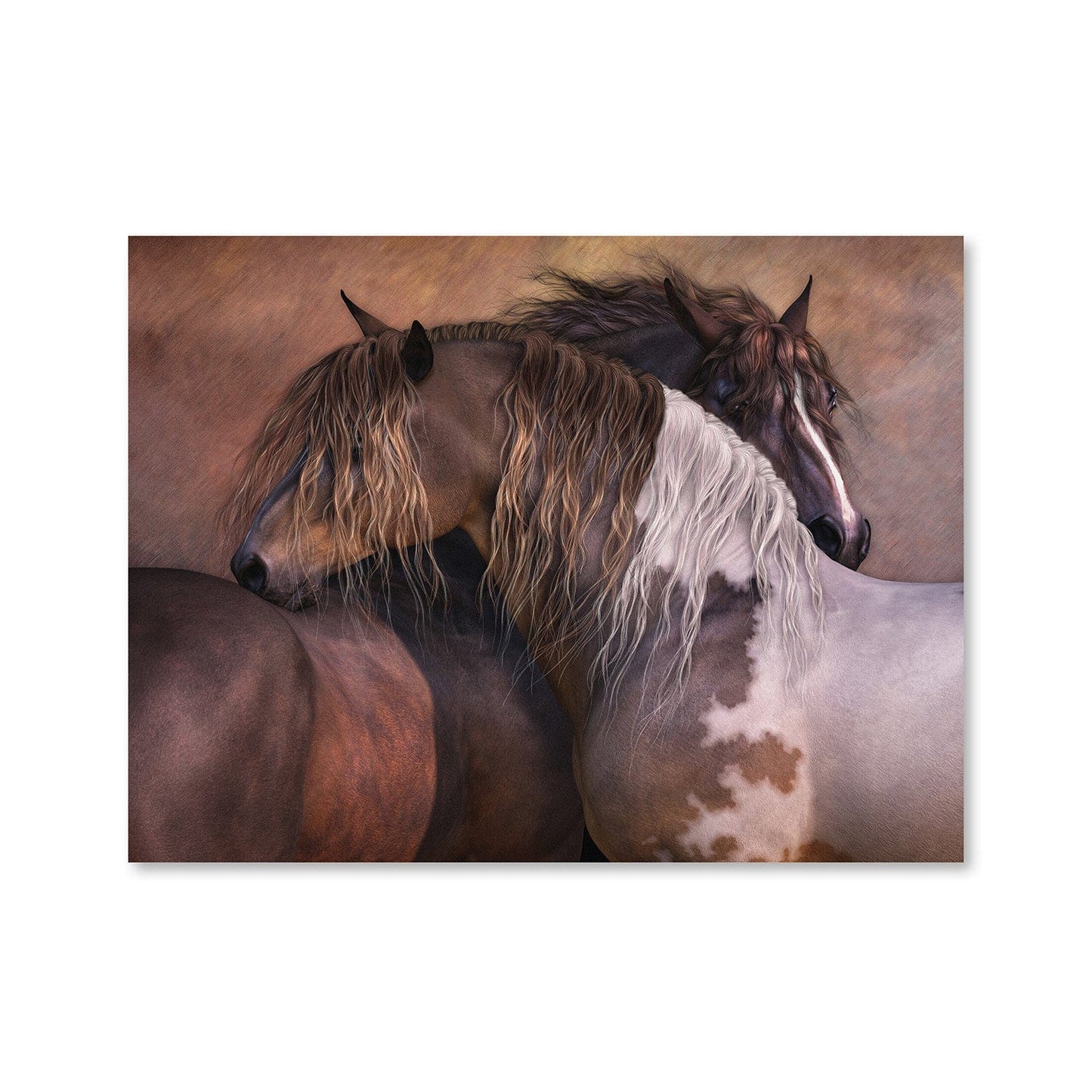 Rynx | A Spirit Canvas