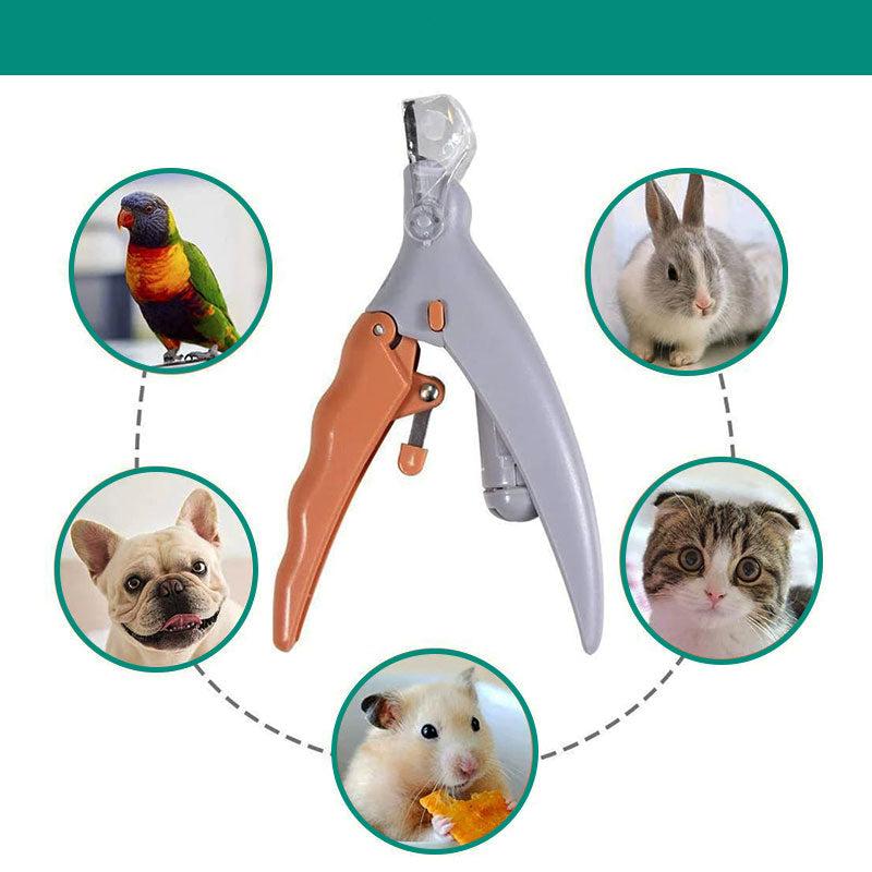 RYNX | Max - Best Blocks For Dogs With Fast Sensors