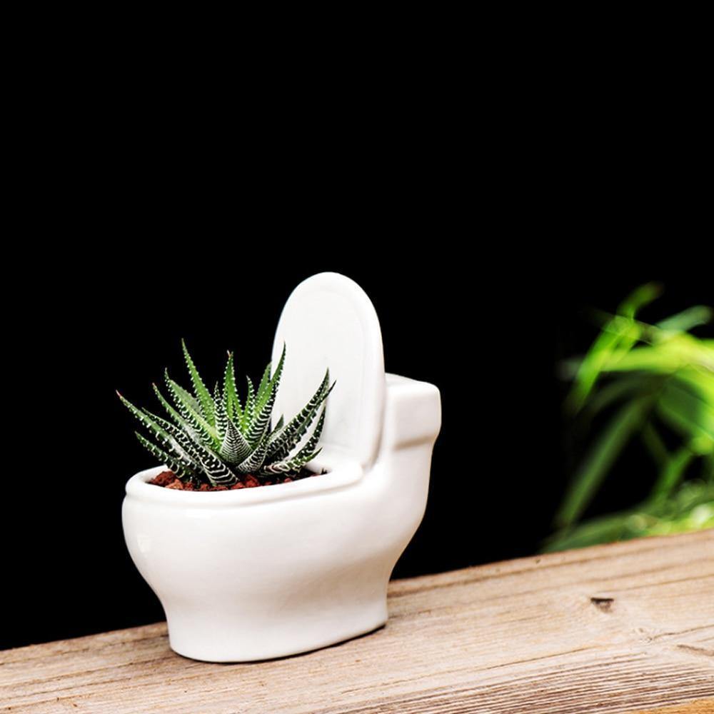 Rynx | ClayElegance Ceramic Succulent Holder | Handmade | Decorative Plant Holder for Bathroom