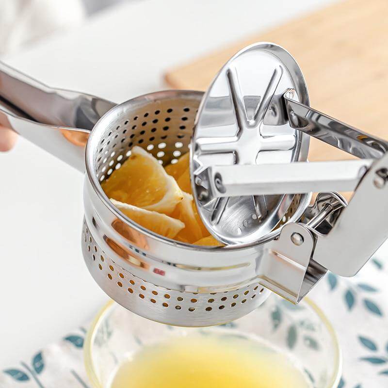 Rynx | Stainless Steel Vegetable Fruit Juice Masher Tool