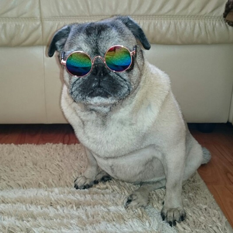 Rynx | Trendy Cat Sunglasses - KittyShades