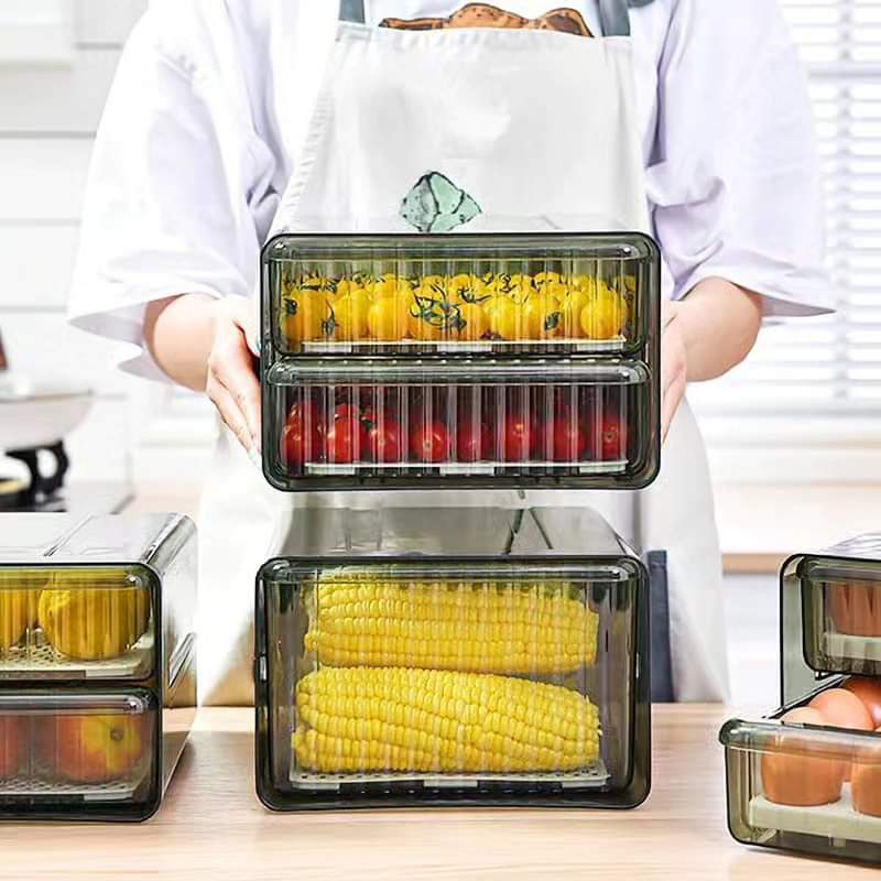 Rynx | Double Layer Refrigerator Container