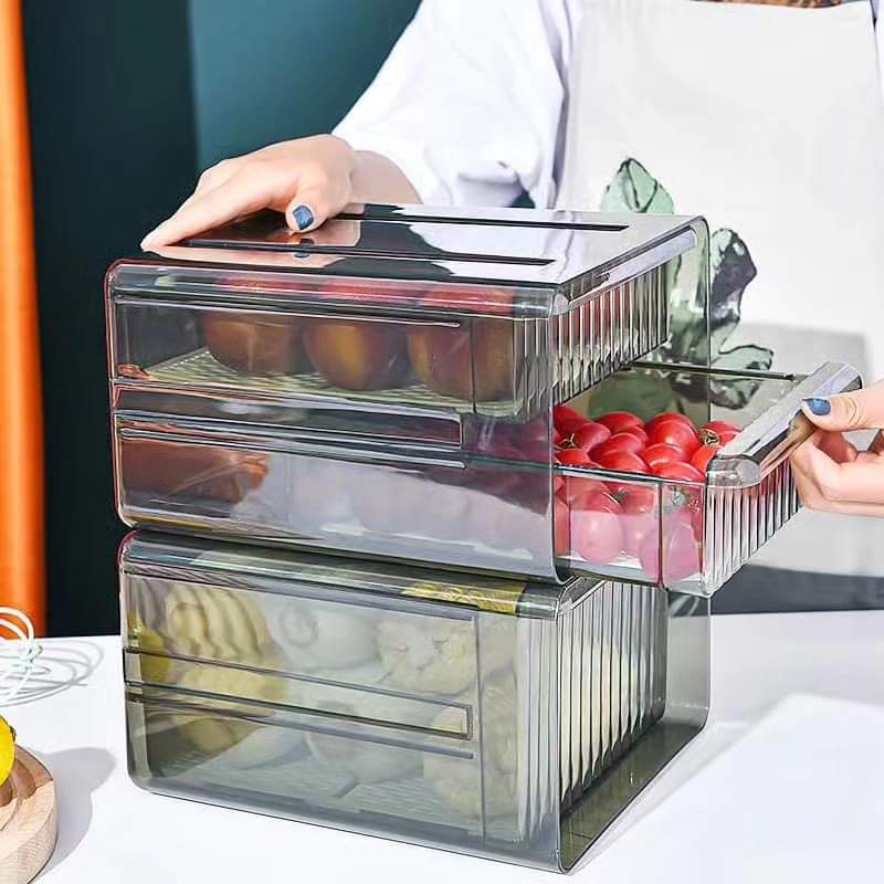 Rynx | Double Layer Refrigerator Container