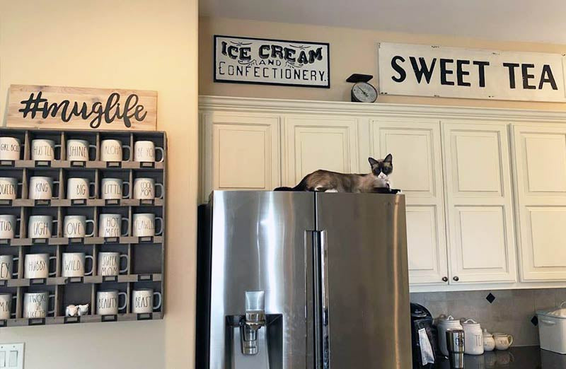 Rynx | Artist design "Ice Cream" sign