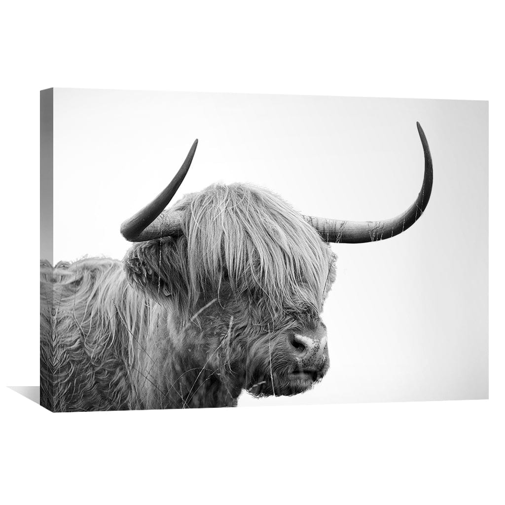 Rynx | Serene Highland Cow Canvas