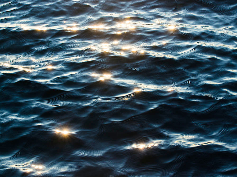 Rynx | Water shine