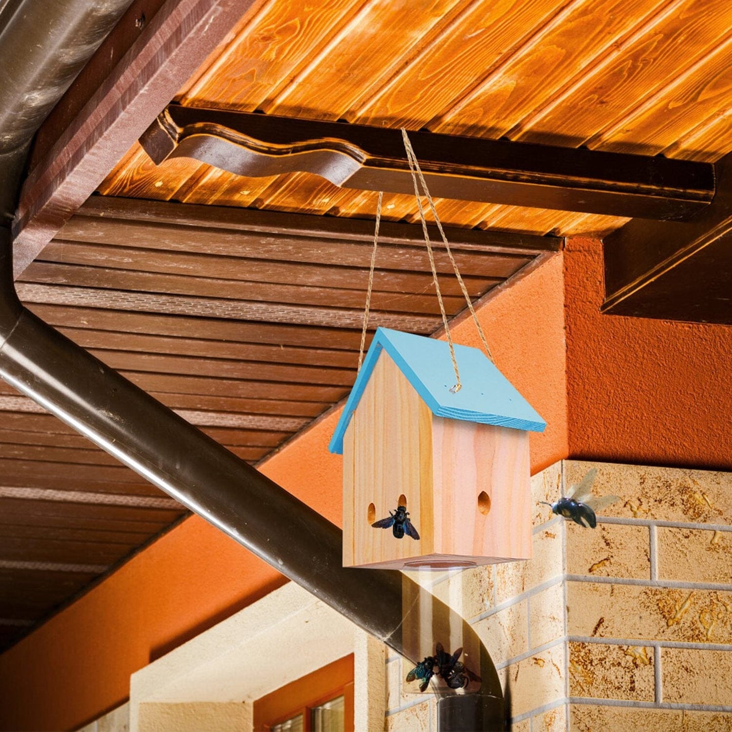 Rynx | Three Carpenter Bee Trap Outdoor Natural Pine Wood