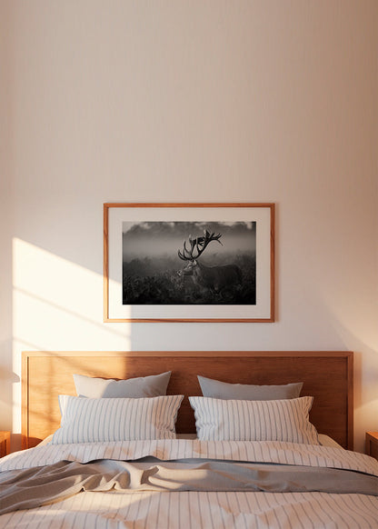Rynx | Sunny Morning - Robert Fabrowski