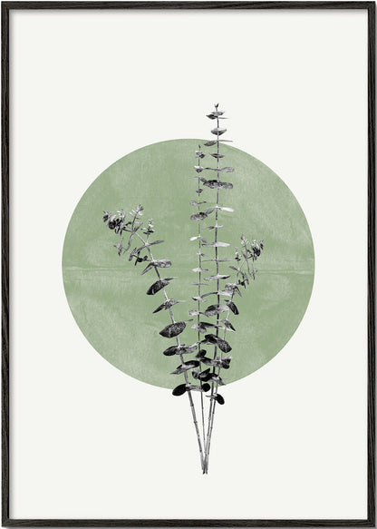 Rynx | Eucalyptus and Green Moon - THE MIUUS STUDIO