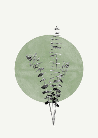 Rynx | Eucalyptus and Green Moon - THE MIUUS STUDIO