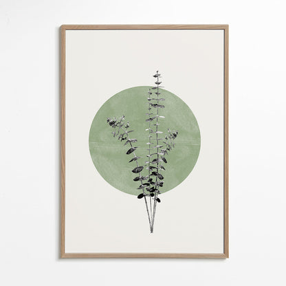 Rynx | Eucalyptus and Green Moon - THE MIUUS STUDIO