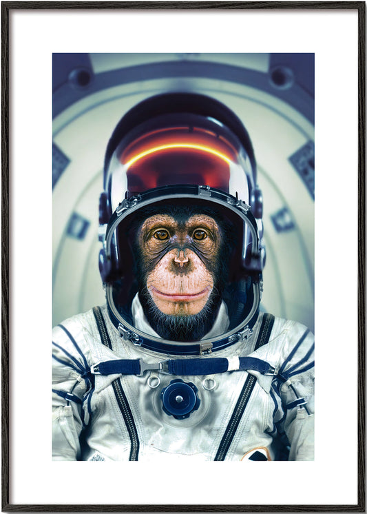 Rynx | AstroMonkey - Marcel Egger