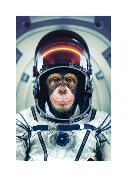 Rynx | AstroMonkey - Marcel Egger