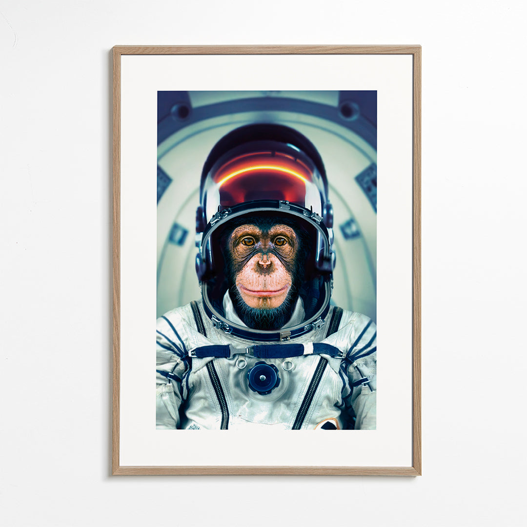 Rynx | AstroMonkey - Marcel Egger