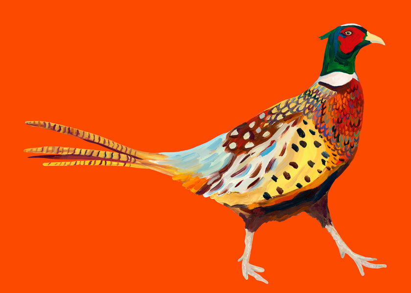 Rynx | Stoltzende Pheasant on Orange - Alice Straker