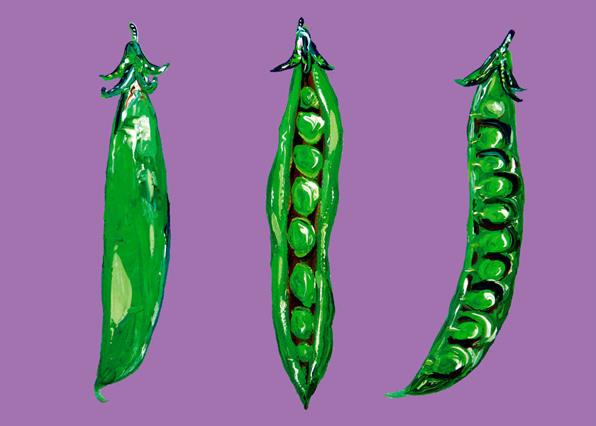 Rynx | Peas In a Pod - Alice Straker