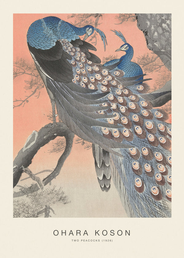 Rynx | Two Peacocks (Special Edition) - Ohara Koson