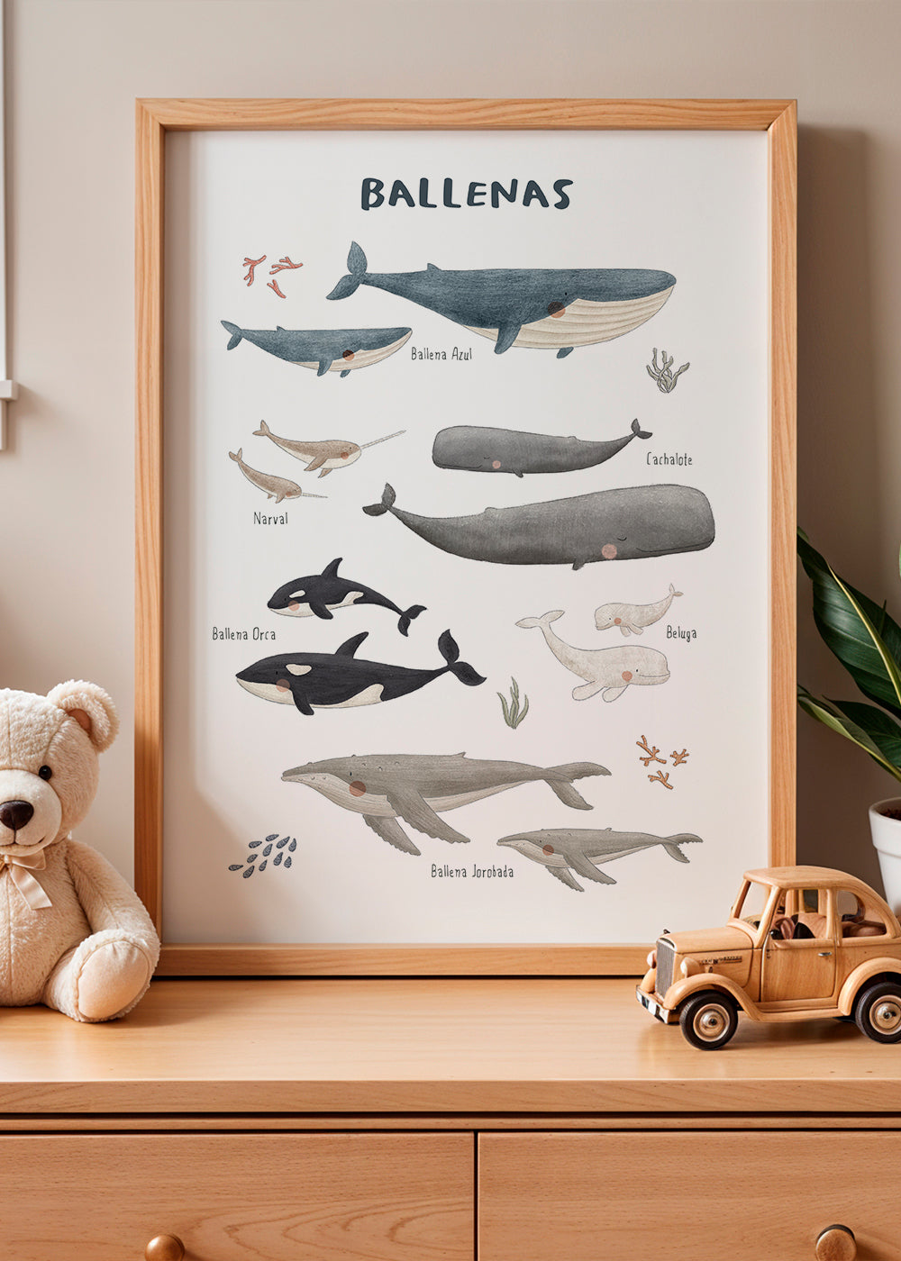 Rynx | Ballenas on white background