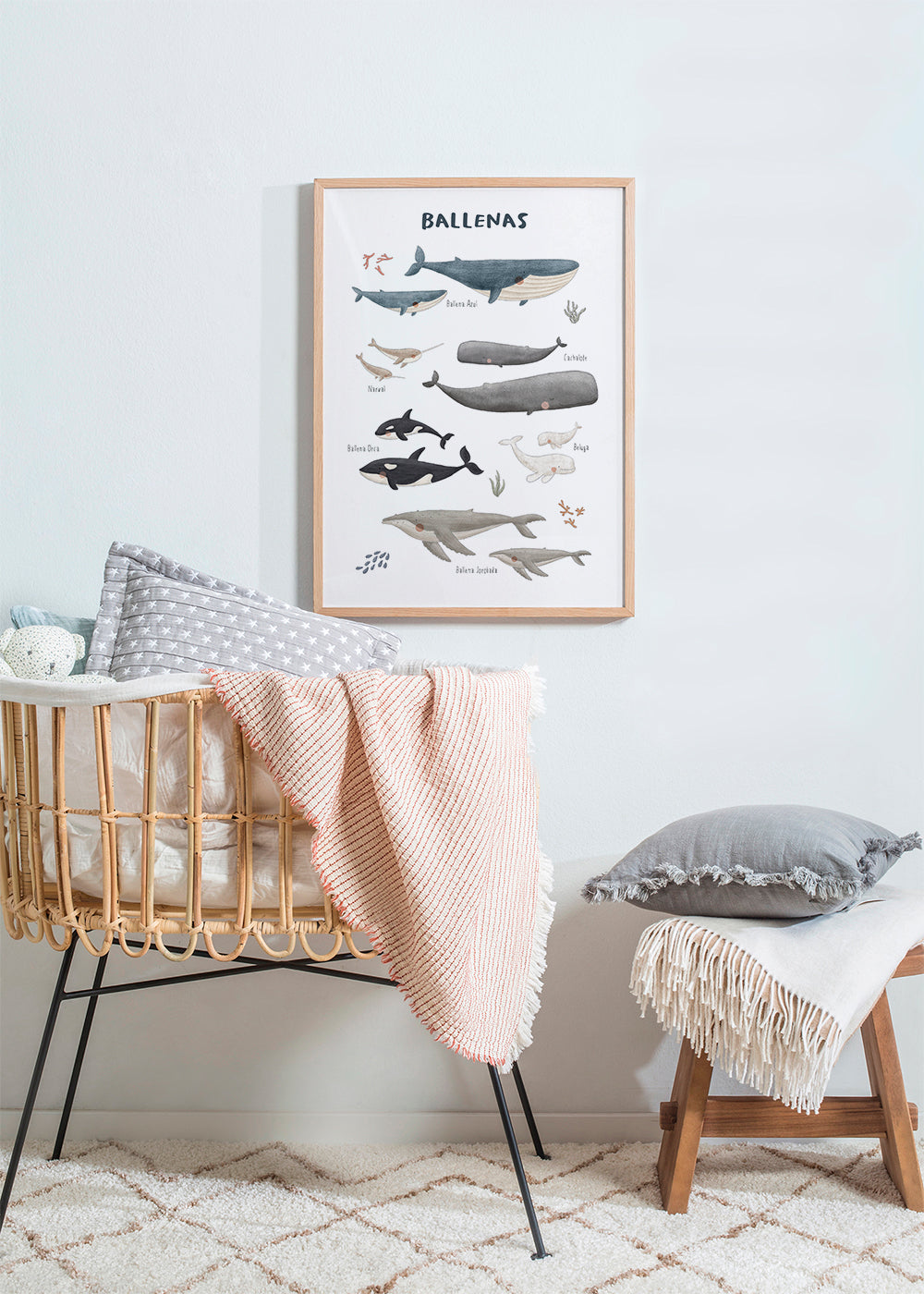 Rynx | Ballenas on white background