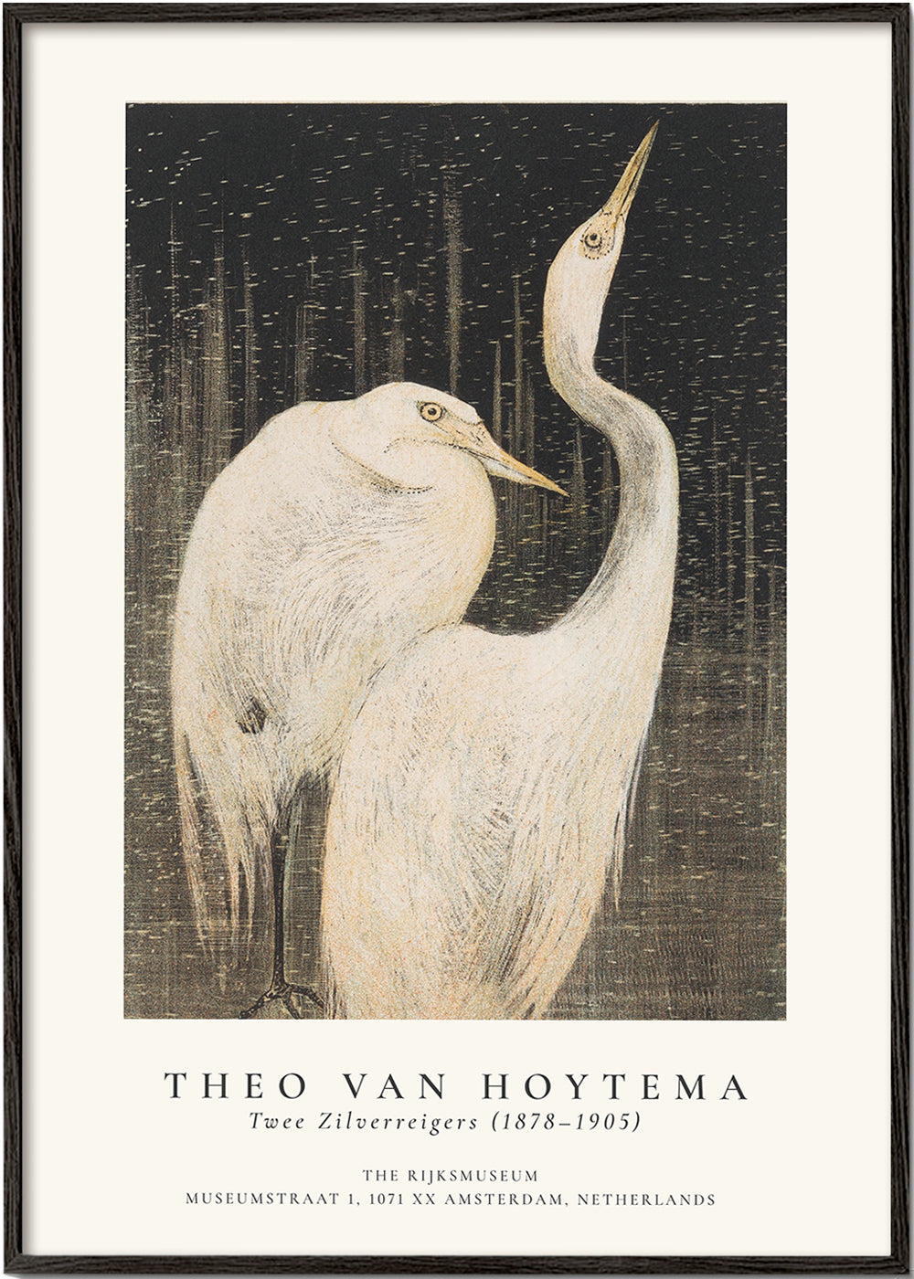 Rynx | Theo van Hoytema, Two silver herons