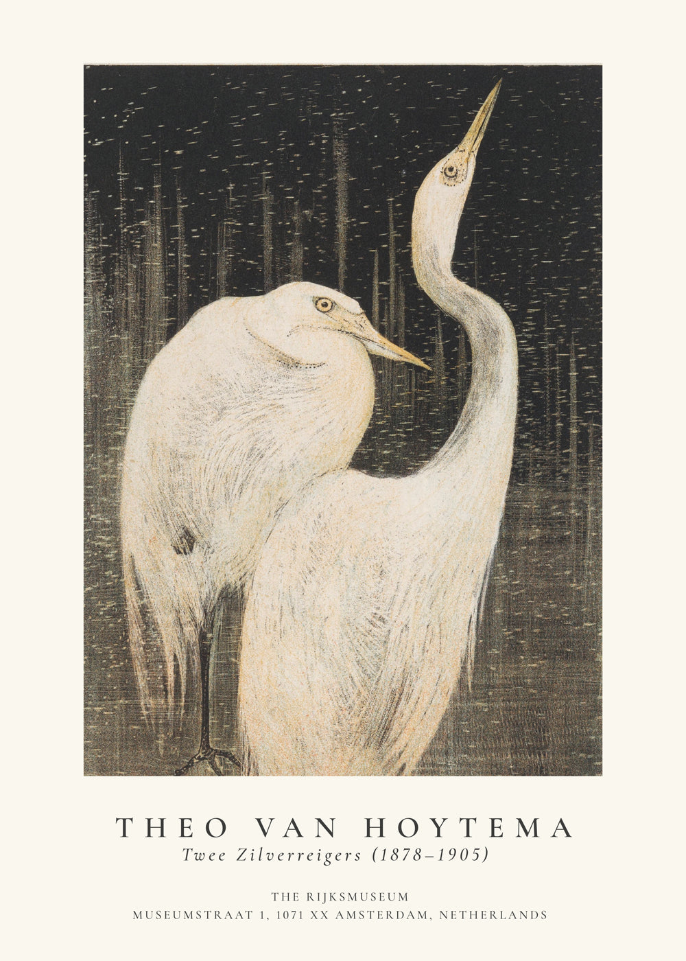 Rynx | Theo van Hoytema, Two silver herons