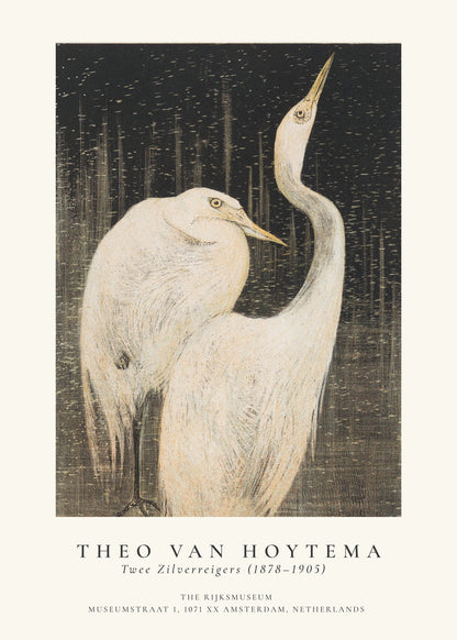 Rynx | Theo van Hoytema, Two silver herons
