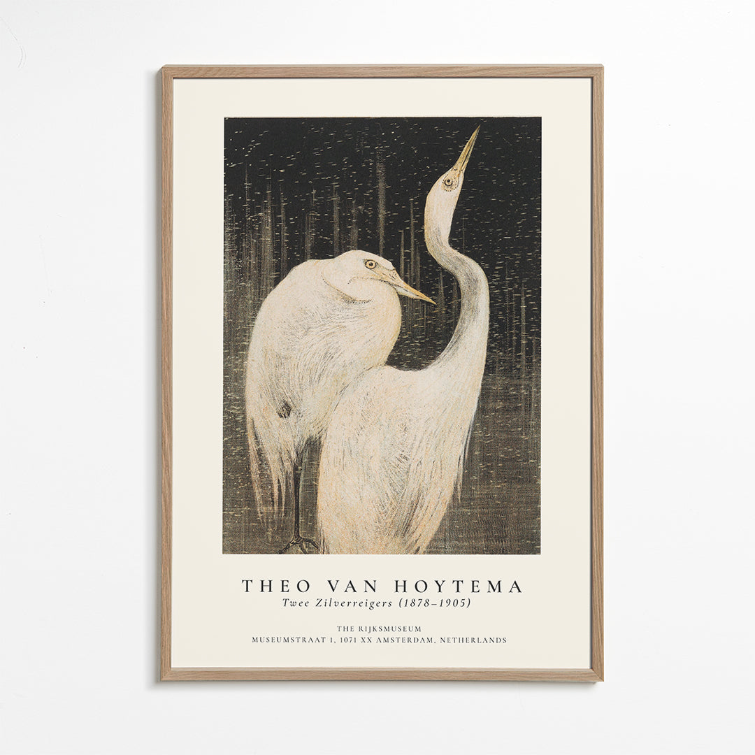 Rynx | Theo van Hoytema, Two silver herons