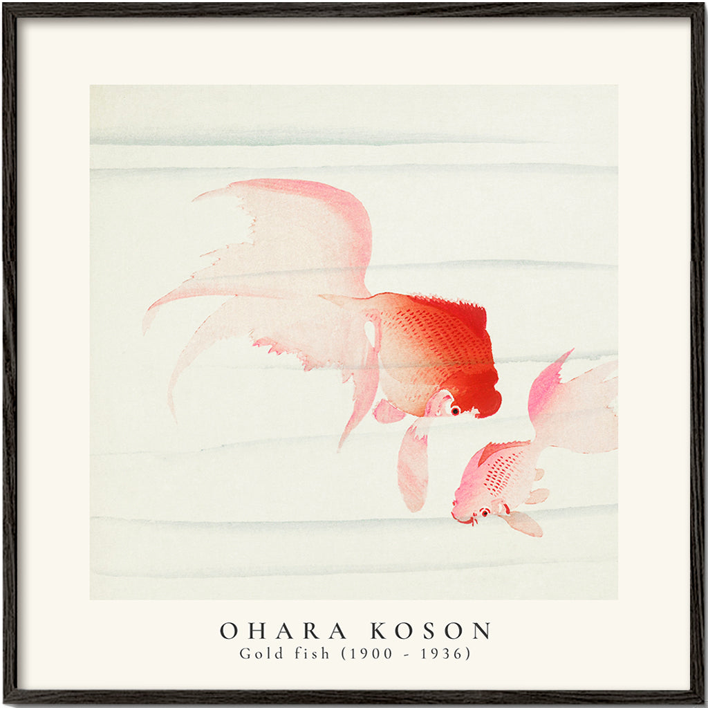 Rynx | Ohara Koson, Two veils goldfish - SQUARE