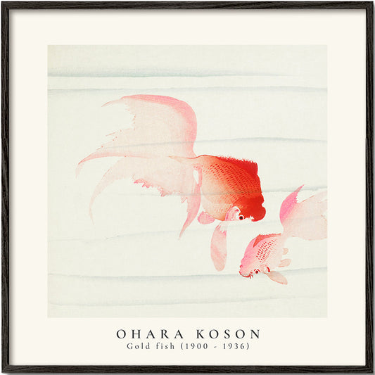 Rynx | Ohara Koson, Two veils goldfish - SQUARE