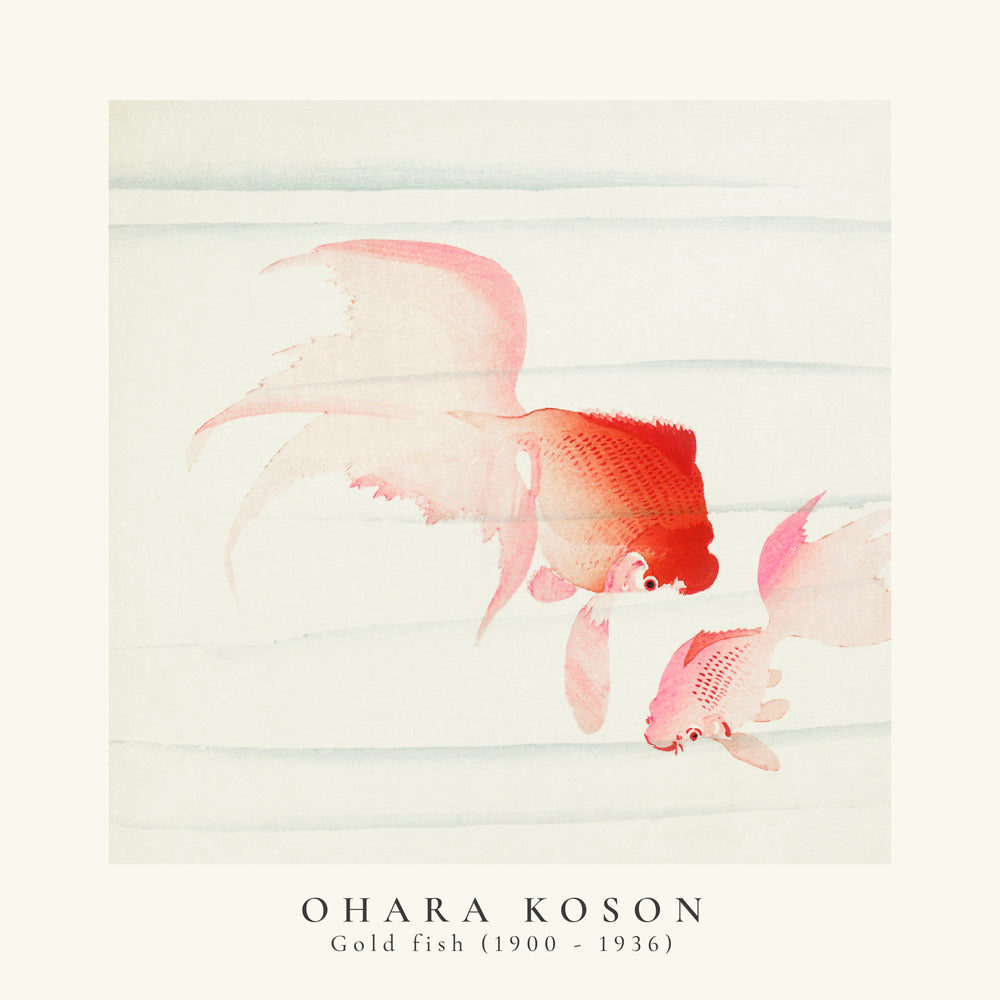 Rynx | Ohara Koson, Two veils goldfish - SQUARE