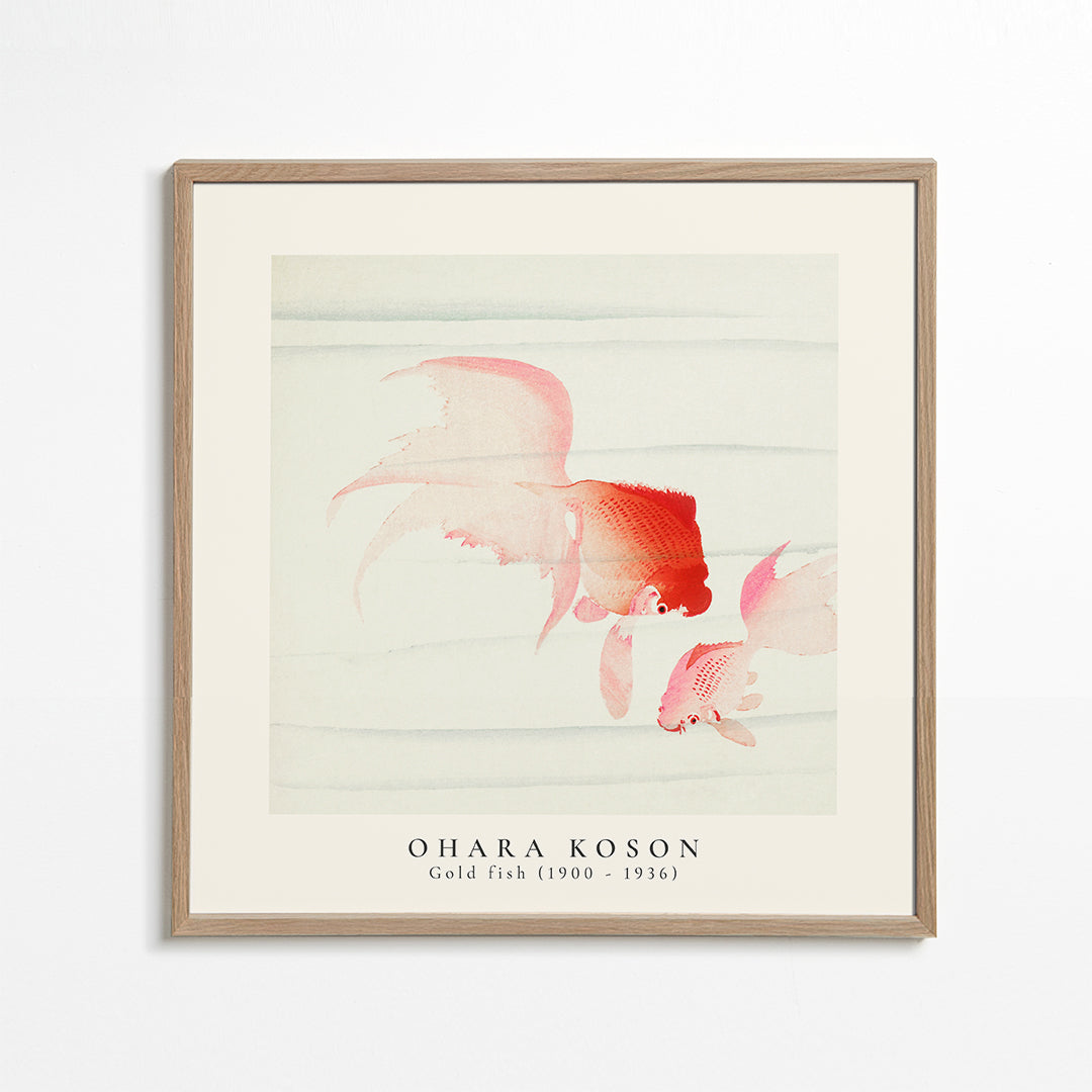 Rynx | Ohara Koson, Two veils goldfish - SQUARE