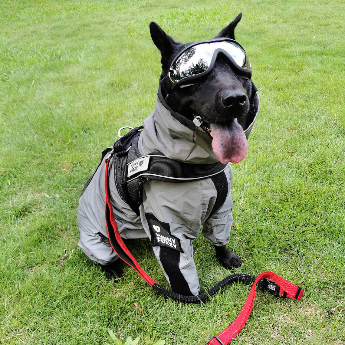 RYNX | Reflective All-Weather Waterproof Cool Dog Accessory Raincoat